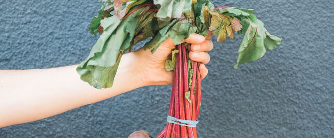 Un bras qui tend une botte de légumes
